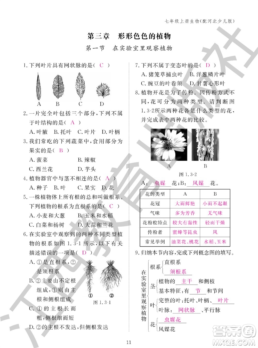 江西教育出版社2023年秋生物作業(yè)本七年級(jí)上冊(cè)冀少版參考答案