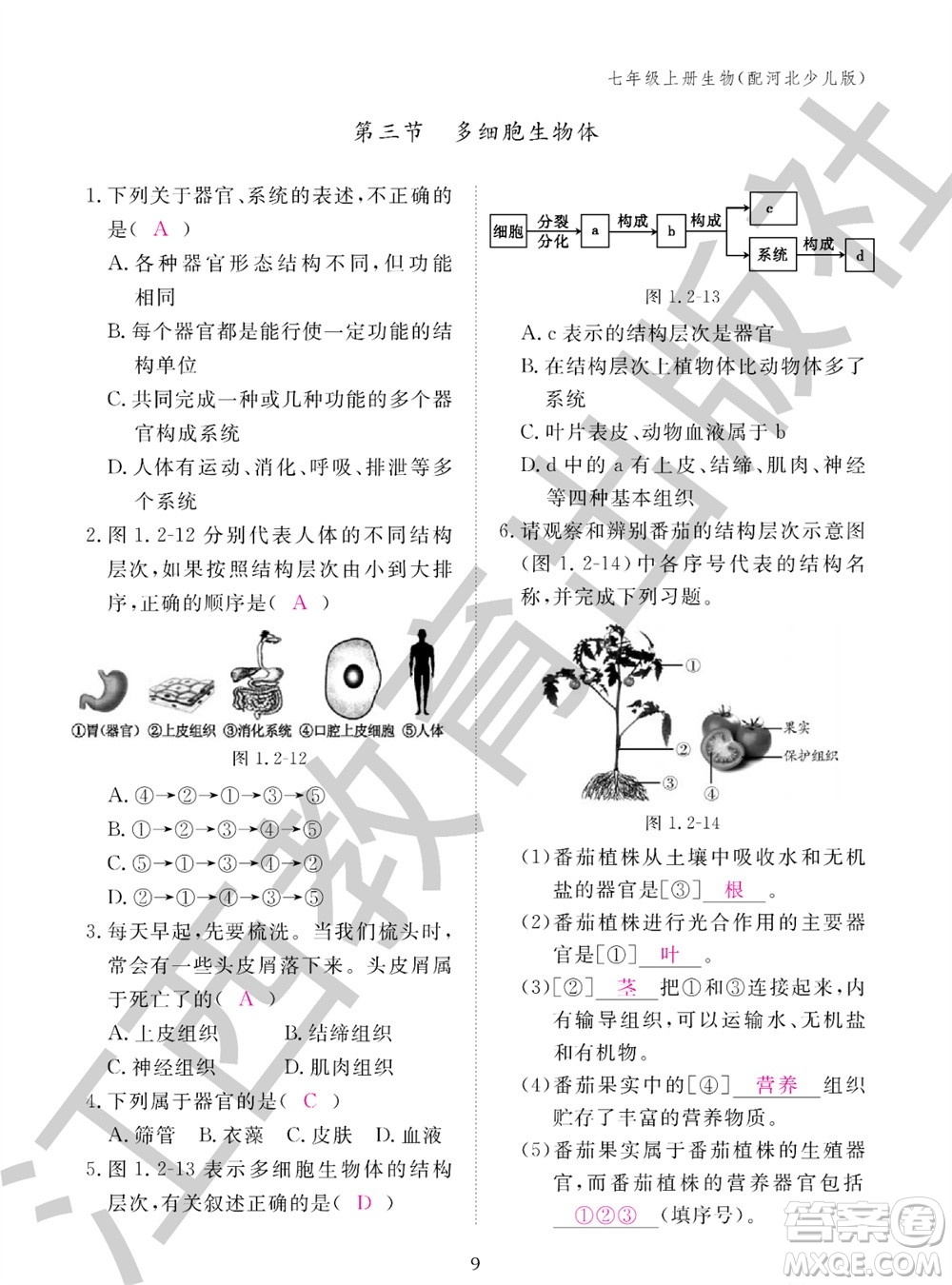 江西教育出版社2023年秋生物作業(yè)本七年級(jí)上冊(cè)冀少版參考答案