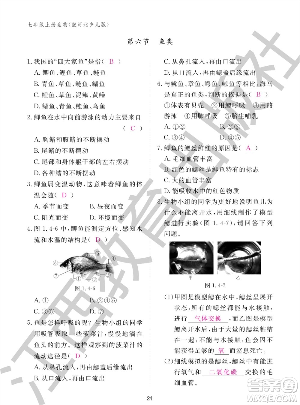 江西教育出版社2023年秋生物作業(yè)本七年級(jí)上冊(cè)冀少版參考答案