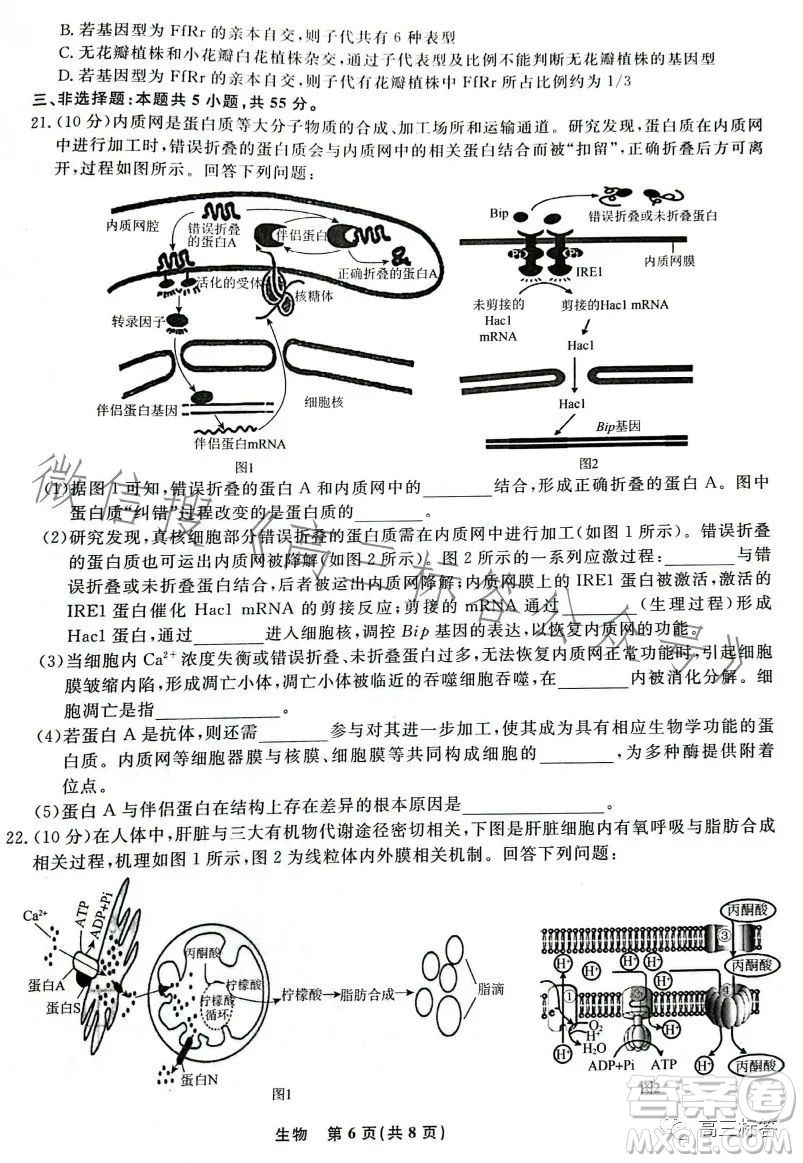 遼寧省名校聯(lián)盟2023年高三9月份聯(lián)合考試生物試卷答案