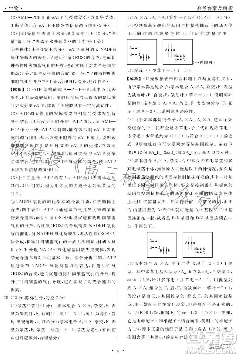 遼寧省名校聯(lián)盟2023年高三9月份聯(lián)合考試生物試卷答案