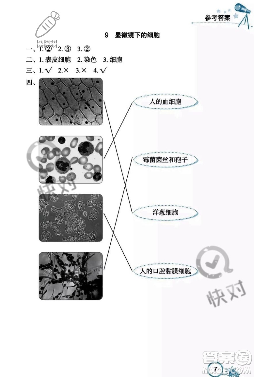 湖北教育出版社2023年秋長江作業(yè)本課堂作業(yè)五年級科學(xué)上冊人教鄂教版答案