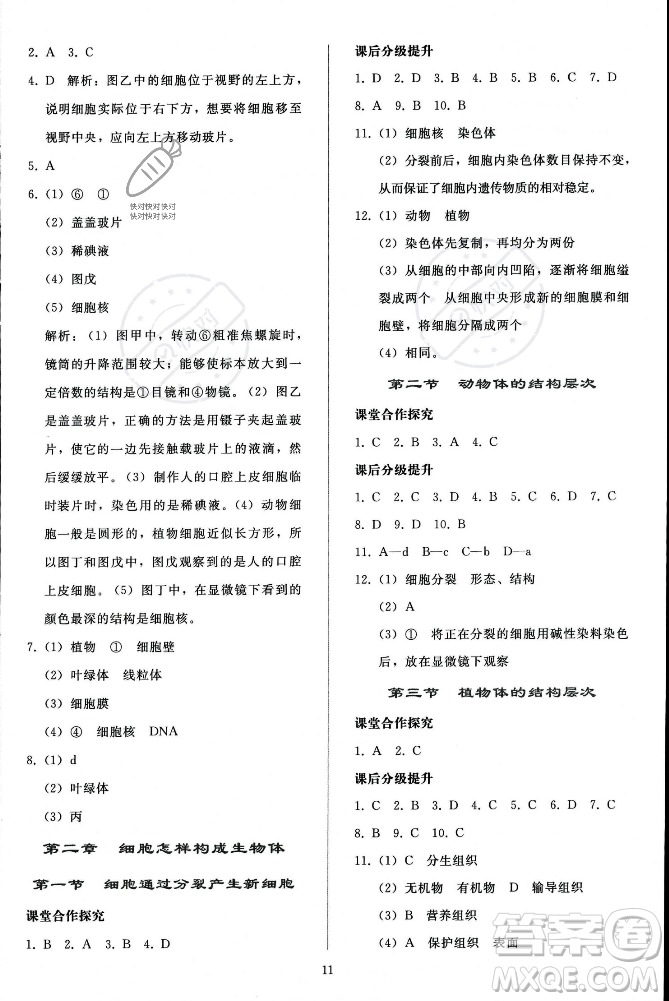 人民教育出版社2023年秋同步輕松練習(xí)七年級(jí)生物學(xué)上冊(cè)人教版答案