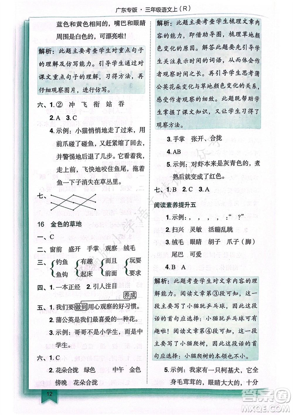 龍門書局2023年秋黃岡小狀元作業(yè)本三年級語文上冊人教版廣東專版參考答案