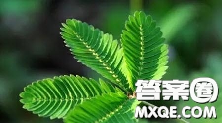 平凡中的幸福的主題作文600字 關(guān)于平凡中的幸福的主題作文600字