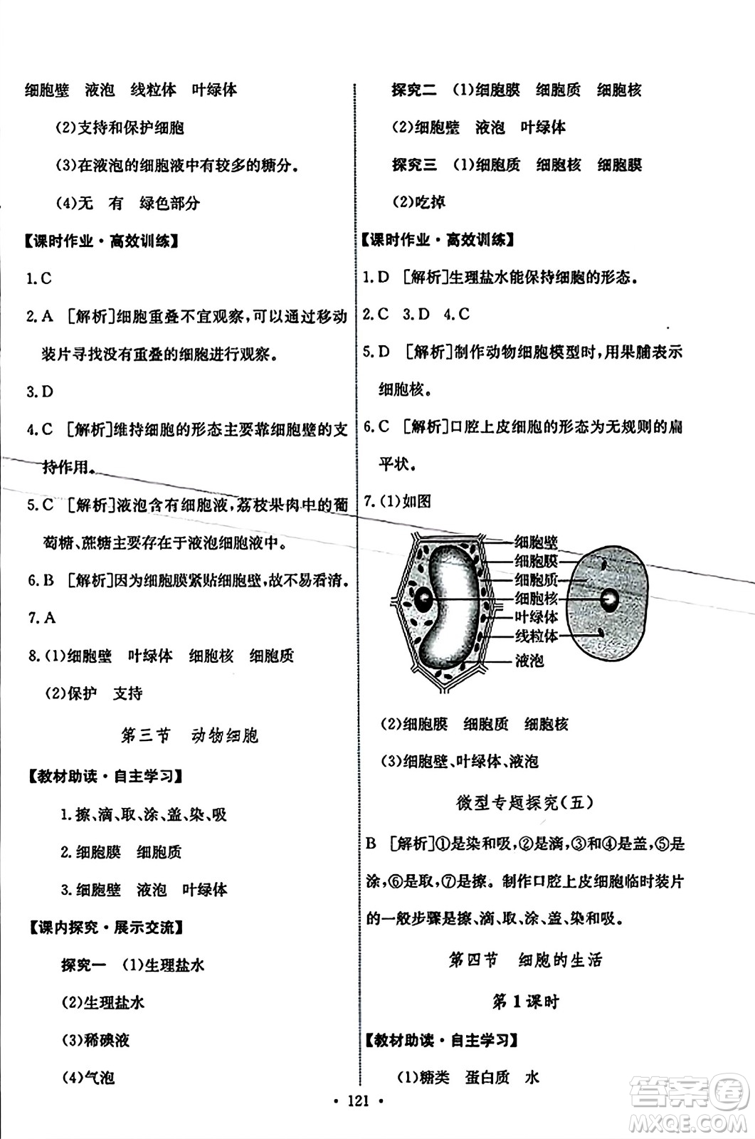 人民教育出版社2023年秋能力培養(yǎng)與測(cè)試七年級(jí)生物上冊(cè)人教版答案