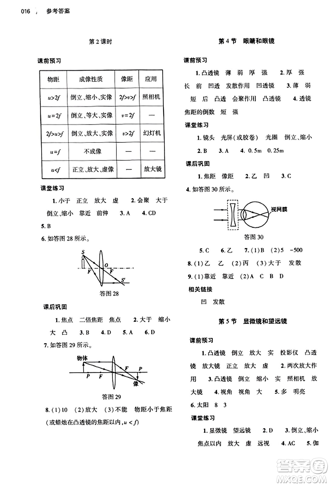 大象出版社2023年秋基礎(chǔ)訓(xùn)練八年級(jí)物理上冊(cè)人教版答案