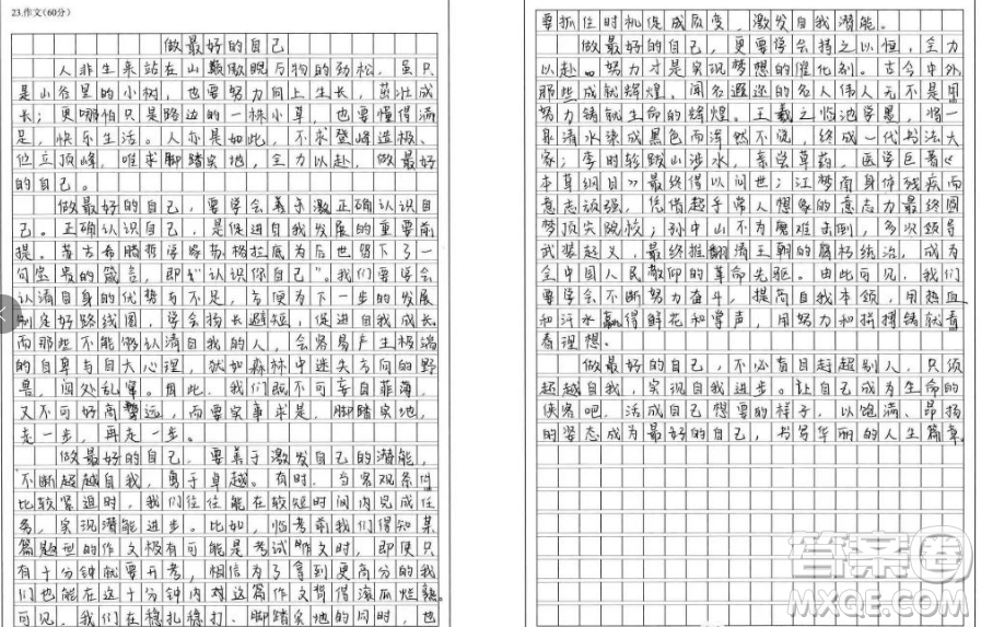 如果你當不成山巔的一棵勁松材料作文800字