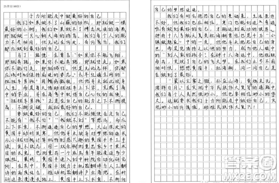 如果你當不成山巔的一棵勁松材料作文800字