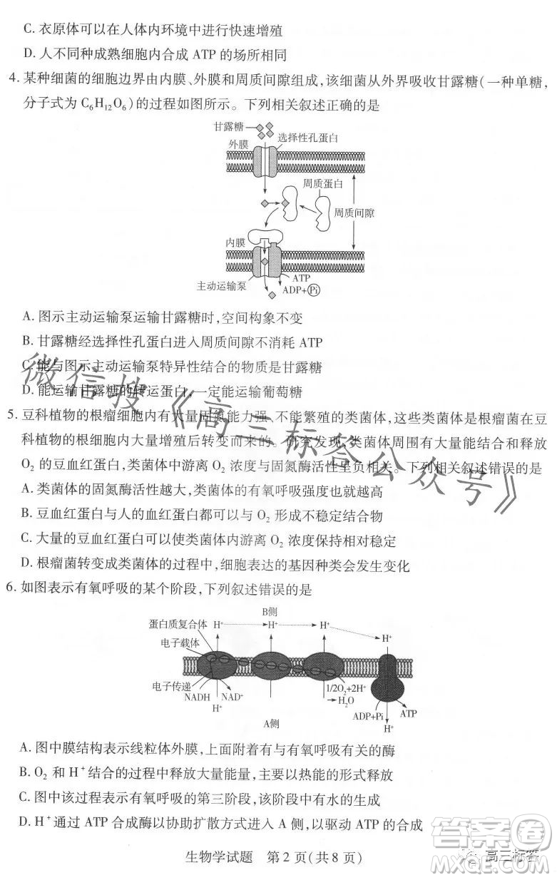 皖豫名校聯(lián)盟2024屆高中畢業(yè)班第一次考試生物學試卷答案