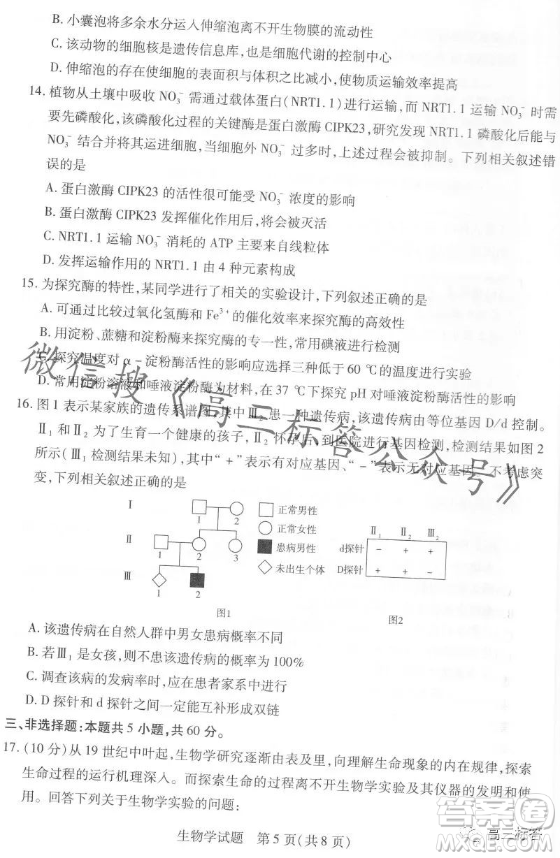 皖豫名校聯(lián)盟2024屆高中畢業(yè)班第一次考試生物學試卷答案