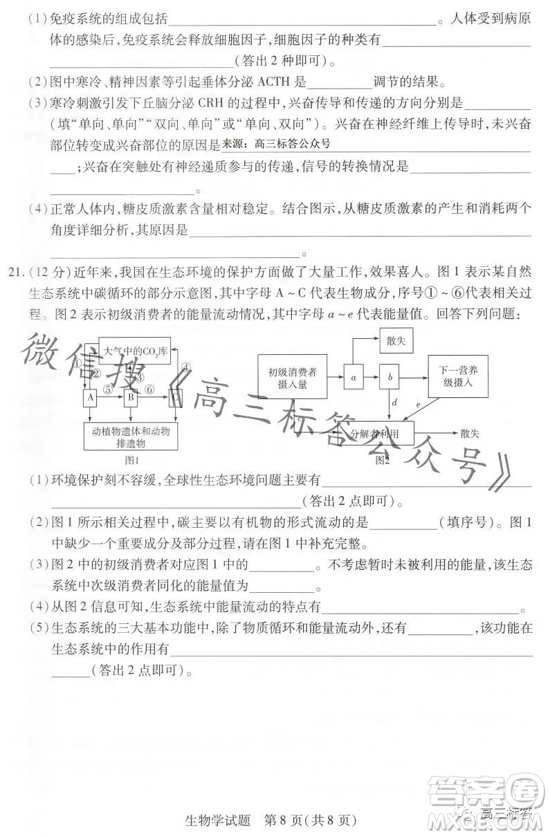 皖豫名校聯(lián)盟2024屆高中畢業(yè)班第一次考試生物學試卷答案