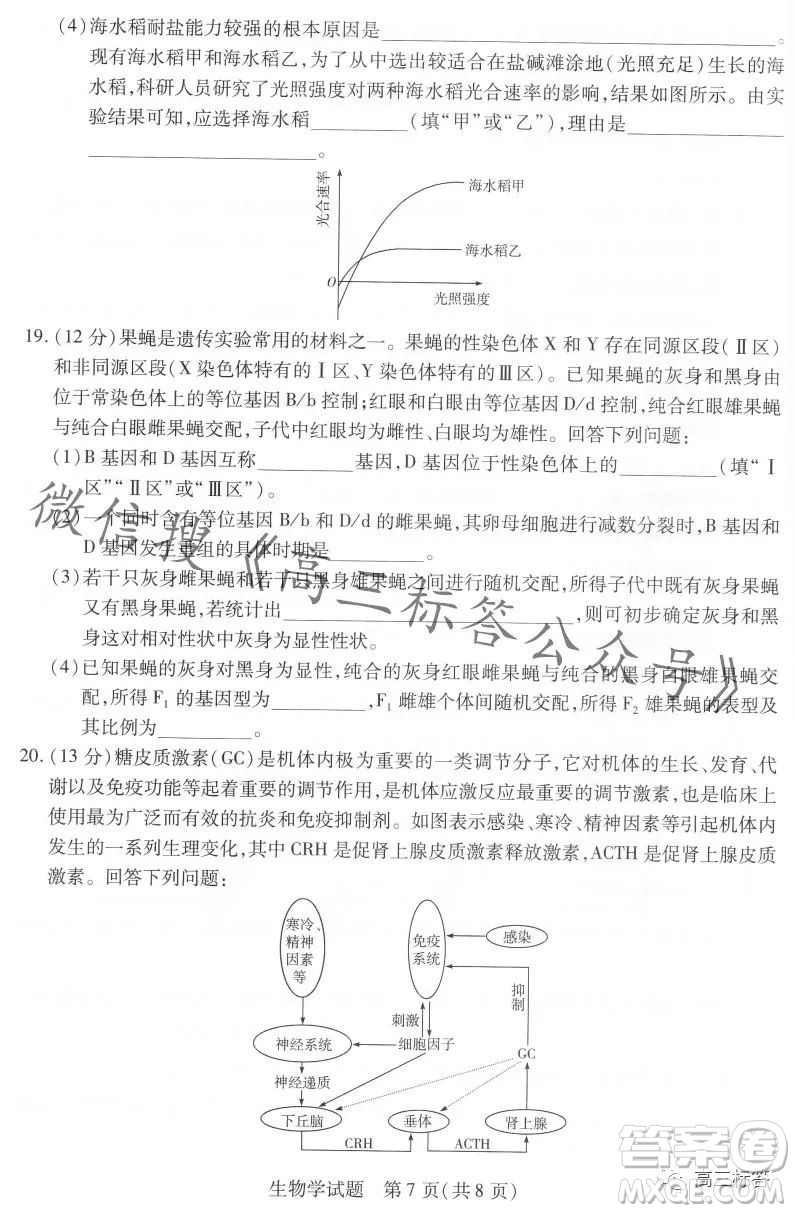 皖豫名校聯(lián)盟2024屆高中畢業(yè)班第一次考試生物學試卷答案