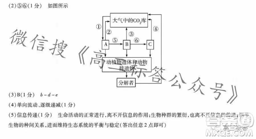 皖豫名校聯(lián)盟2024屆高中畢業(yè)班第一次考試生物學試卷答案