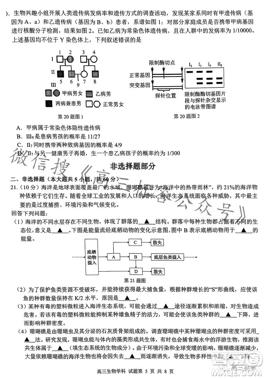 浙南名校聯(lián)盟2023學(xué)年高三第一學(xué)期第一次聯(lián)考生物試卷答案