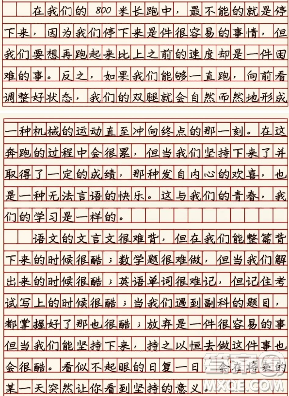 努力的日子會(huì)發(fā)光主題作文600字 關(guān)于努力的日子會(huì)發(fā)光的主題作文600字