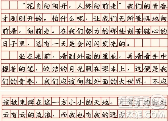 努力的日子會(huì)發(fā)光主題作文600字 關(guān)于努力的日子會(huì)發(fā)光的主題作文600字