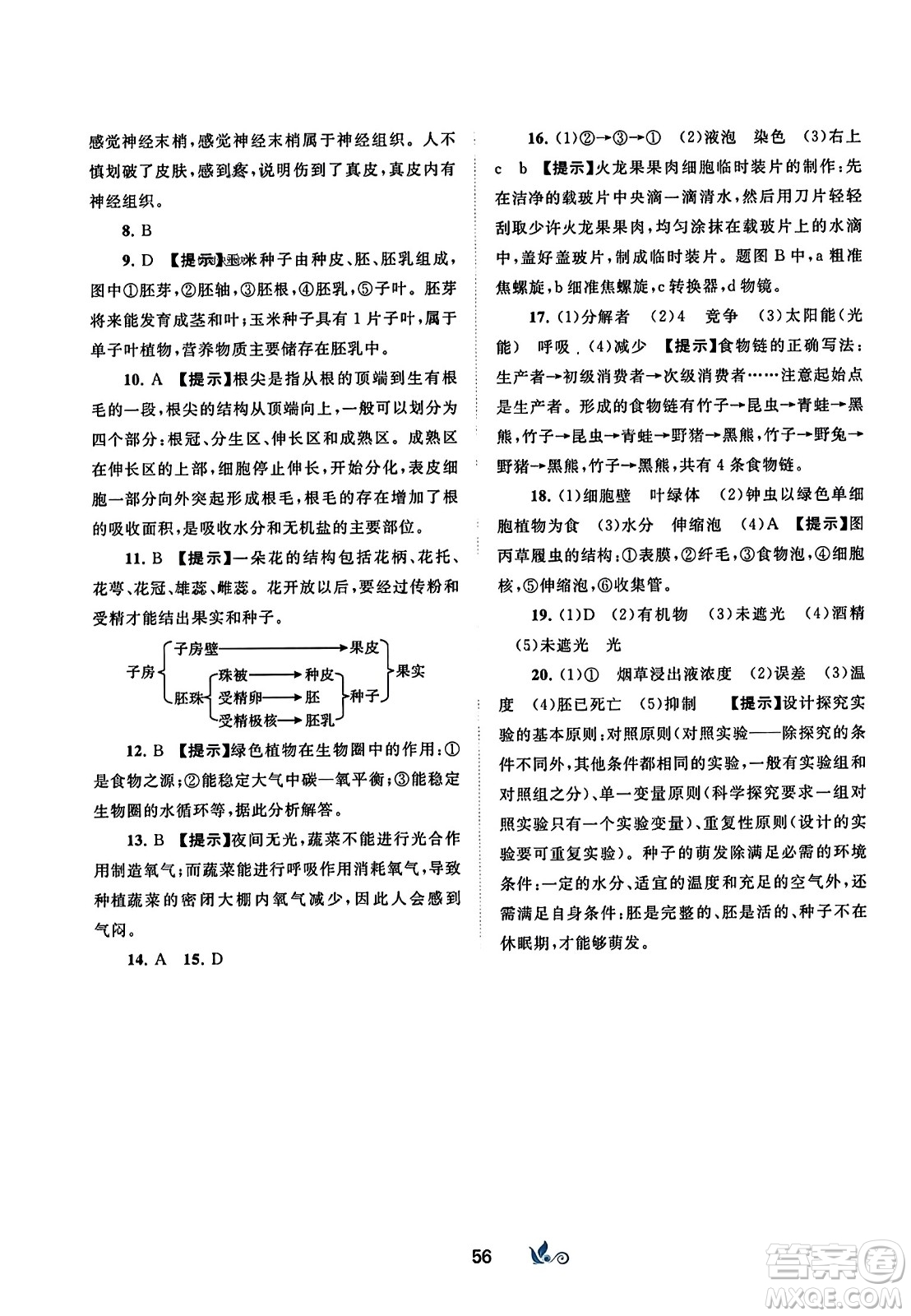 廣西師范大學出版社2023年秋新課程學習與測評單元雙測七年級生物上冊人教版A版答案