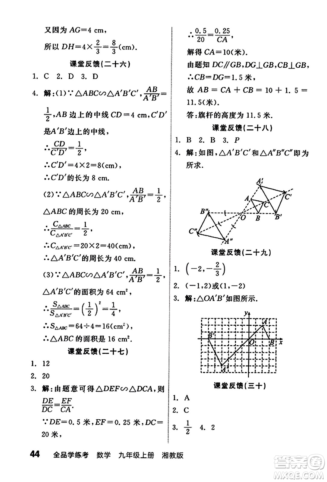 陽(yáng)光出版社2023年秋全品學(xué)練考九年級(jí)數(shù)學(xué)上冊(cè)湘教版答案