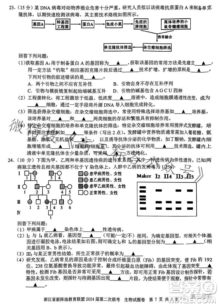 浙江省新陣地教育聯(lián)盟2024屆第二次聯(lián)考生物試卷答案