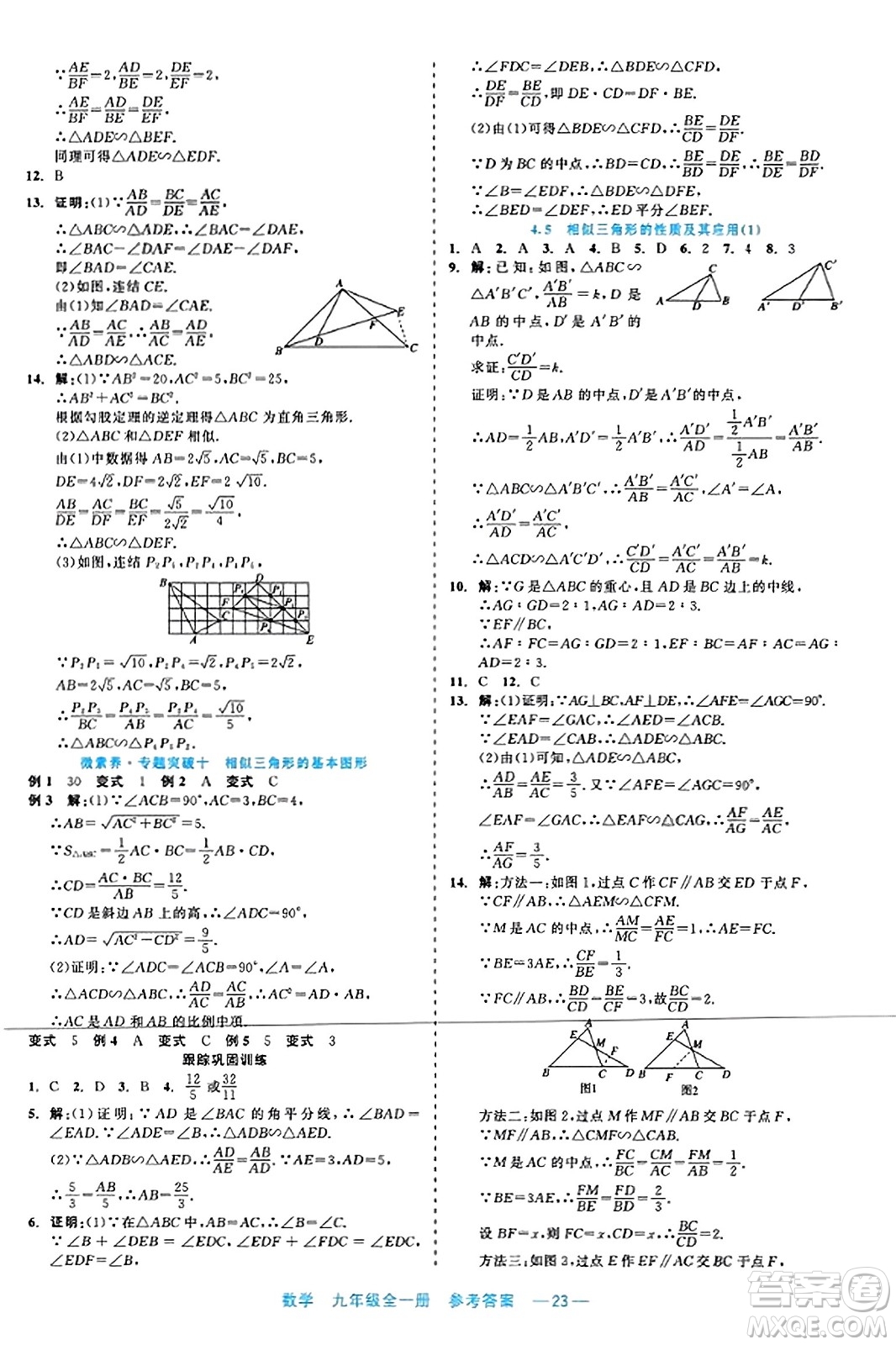 浙江工商大學(xué)出版社2023年秋精彩練習(xí)就練這一本九年級數(shù)學(xué)全一冊通用版答案