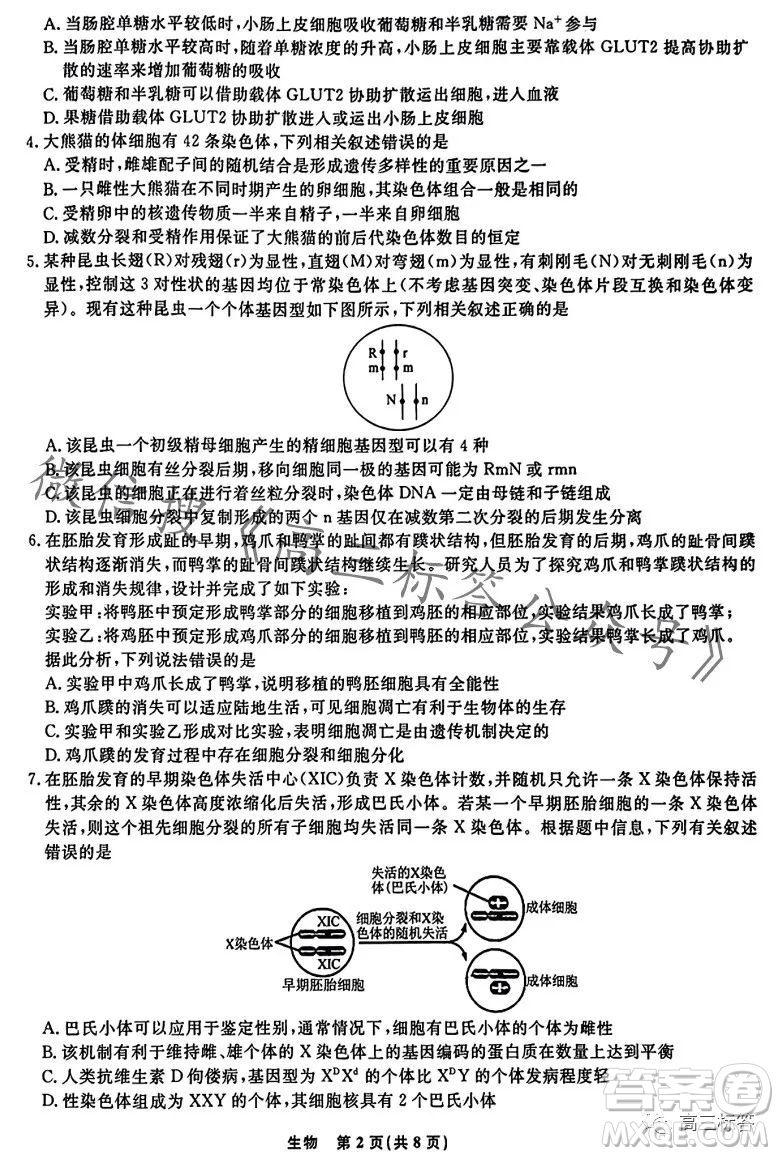 遼寧省名校聯(lián)盟2023年高三10月份聯(lián)合考試生物試卷答案