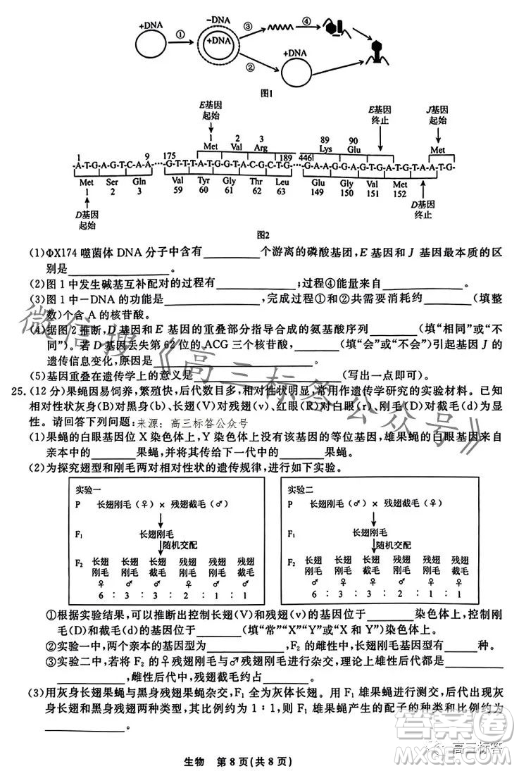 遼寧省名校聯(lián)盟2023年高三10月份聯(lián)合考試生物試卷答案