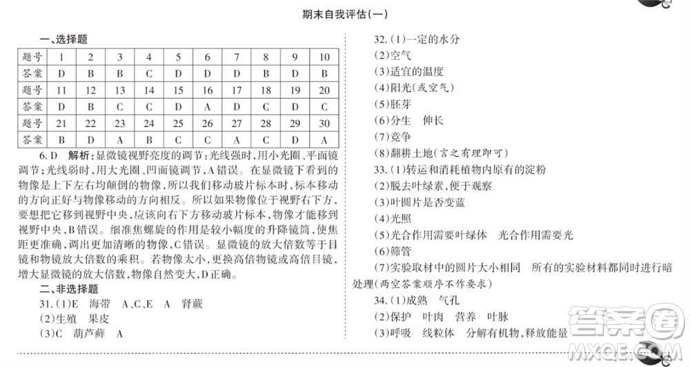 學(xué)習(xí)方法報(bào)2023-2024學(xué)年七年級(jí)生物上冊(cè)人教廣東版④-⑥期小報(bào)參考答案