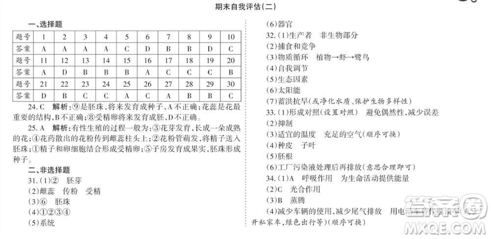 學(xué)習(xí)方法報(bào)2023-2024學(xué)年七年級(jí)生物上冊(cè)人教廣東版④-⑥期小報(bào)參考答案