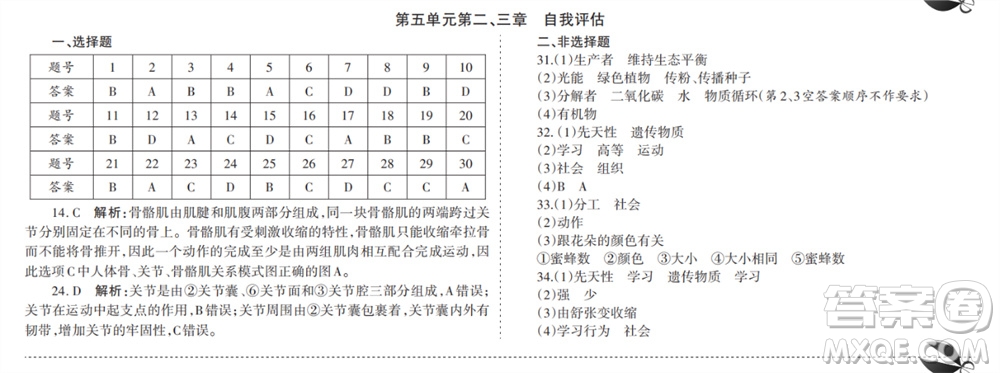 學(xué)習(xí)方法報2023-2024學(xué)年九年級生物人教初中會考廣東版①-④期小報參考答案