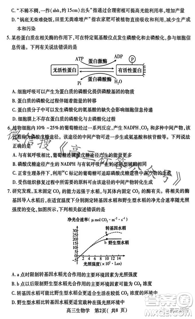 平許濟洛2023-2024學年高三第一次質量檢測生物試卷答案