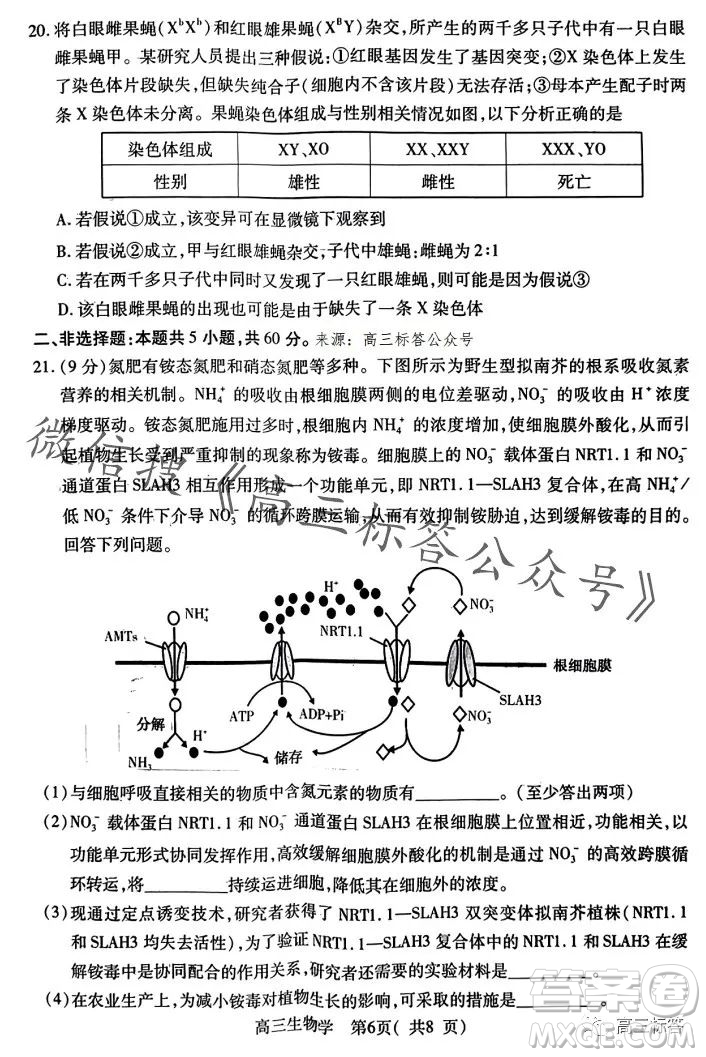 平許濟洛2023-2024學年高三第一次質量檢測生物試卷答案