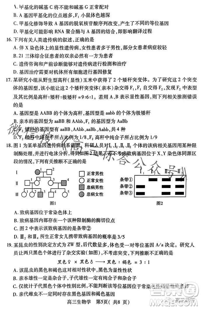 平許濟洛2023-2024學年高三第一次質量檢測生物試卷答案