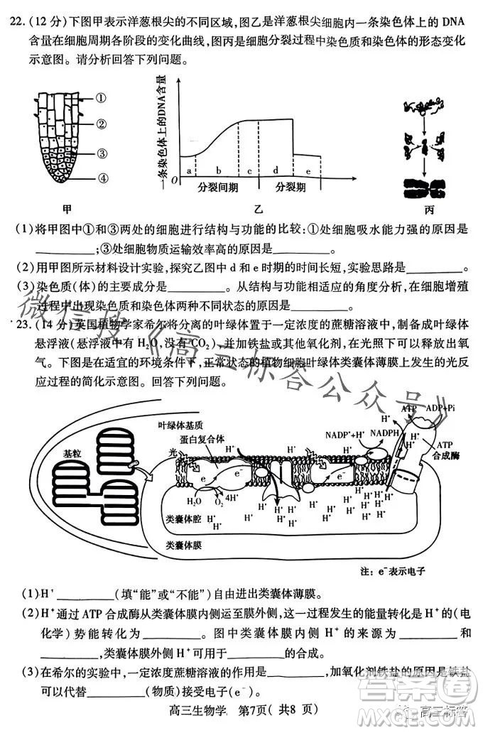 平許濟洛2023-2024學年高三第一次質量檢測生物試卷答案