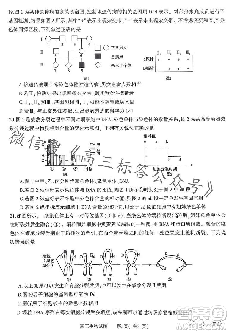 信陽2023-2024學(xué)年普通高中高三第一次教學(xué)質(zhì)量檢測生物試卷答案