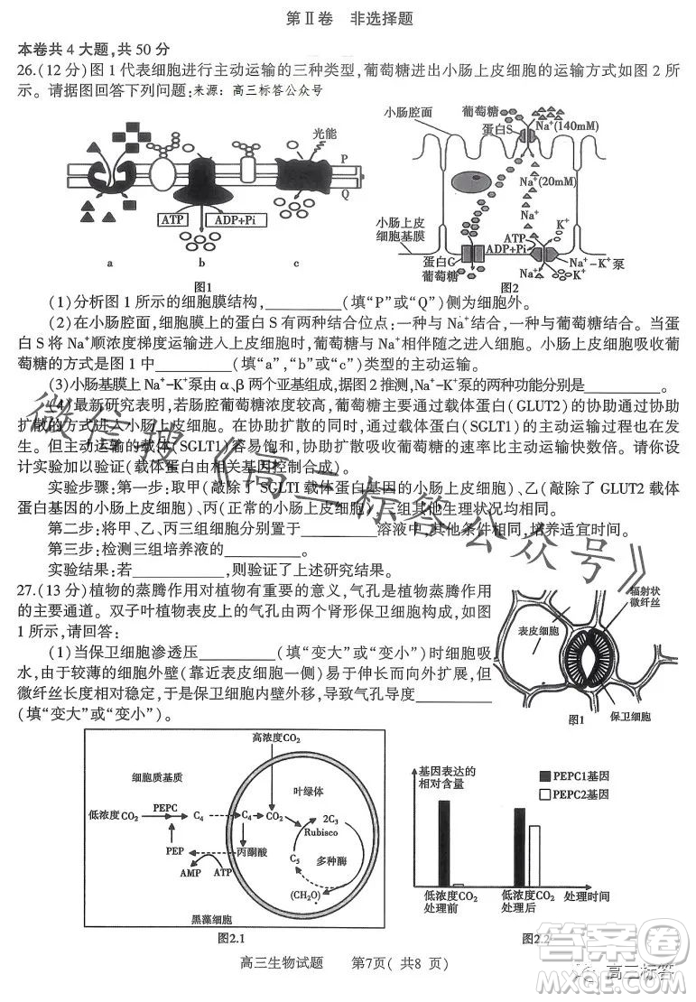 信陽2023-2024學(xué)年普通高中高三第一次教學(xué)質(zhì)量檢測生物試卷答案