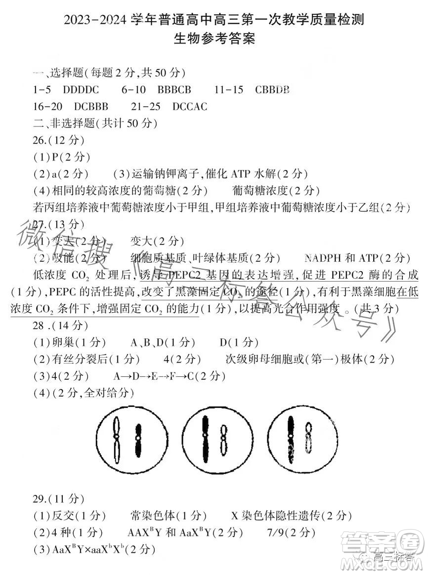 信陽2023-2024學(xué)年普通高中高三第一次教學(xué)質(zhì)量檢測生物試卷答案