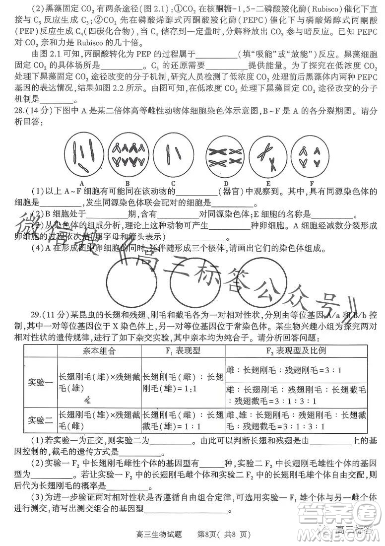 信陽2023-2024學(xué)年普通高中高三第一次教學(xué)質(zhì)量檢測生物試卷答案