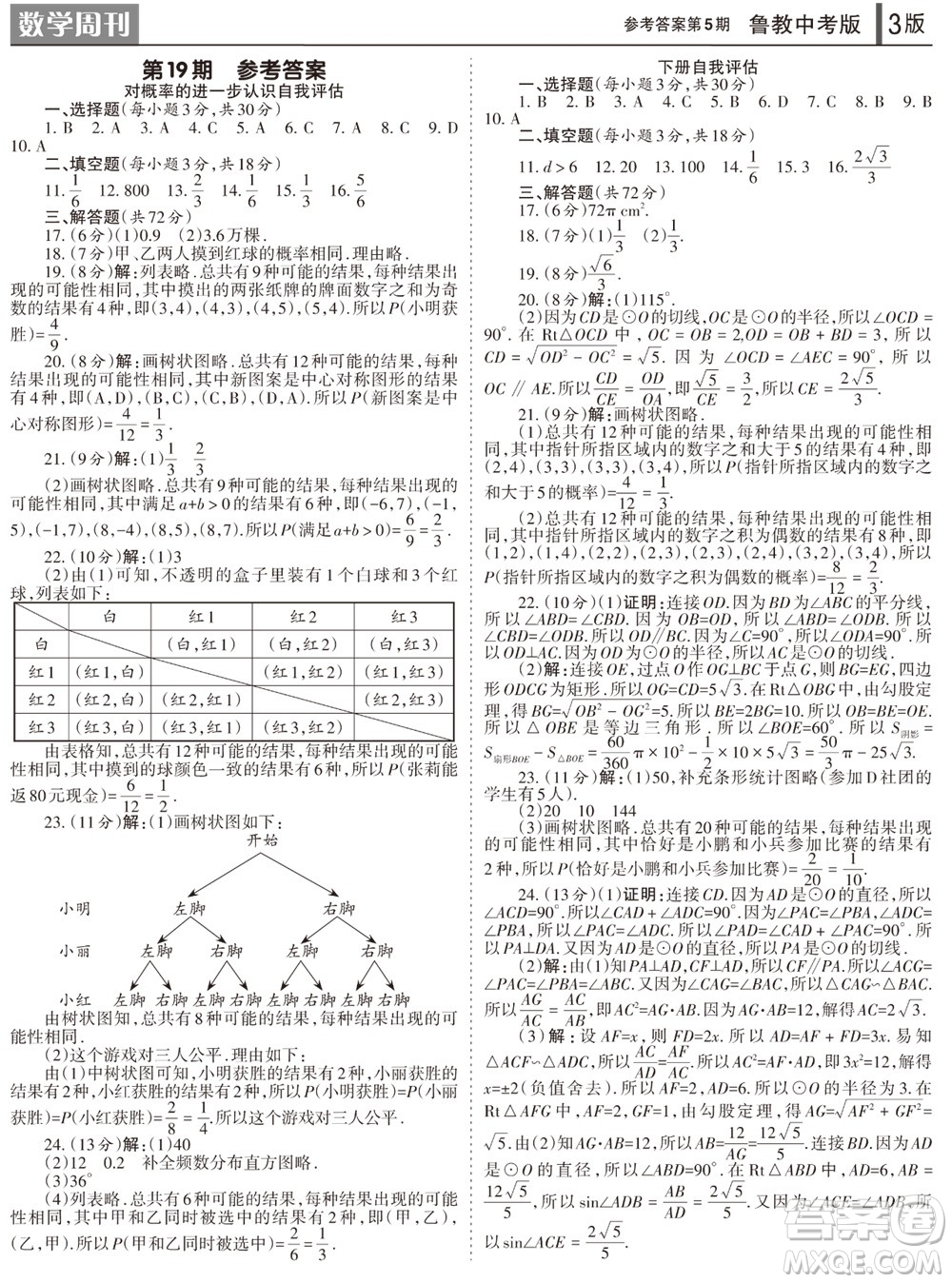 2023年秋學(xué)習(xí)方法報(bào)數(shù)學(xué)周刊九年級(jí)上冊(cè)魯教版中考專版第5期參考答案