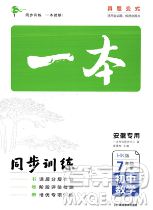 湖南教育出版社2023年秋一本同步訓(xùn)練七年級數(shù)學(xué)上冊滬科版安徽專版答案