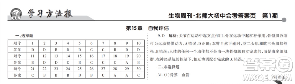 學(xué)習(xí)方法報(bào)2023-2024學(xué)年九年級(jí)生物北師大初中會(huì)考①-⑥期小報(bào)參考答案