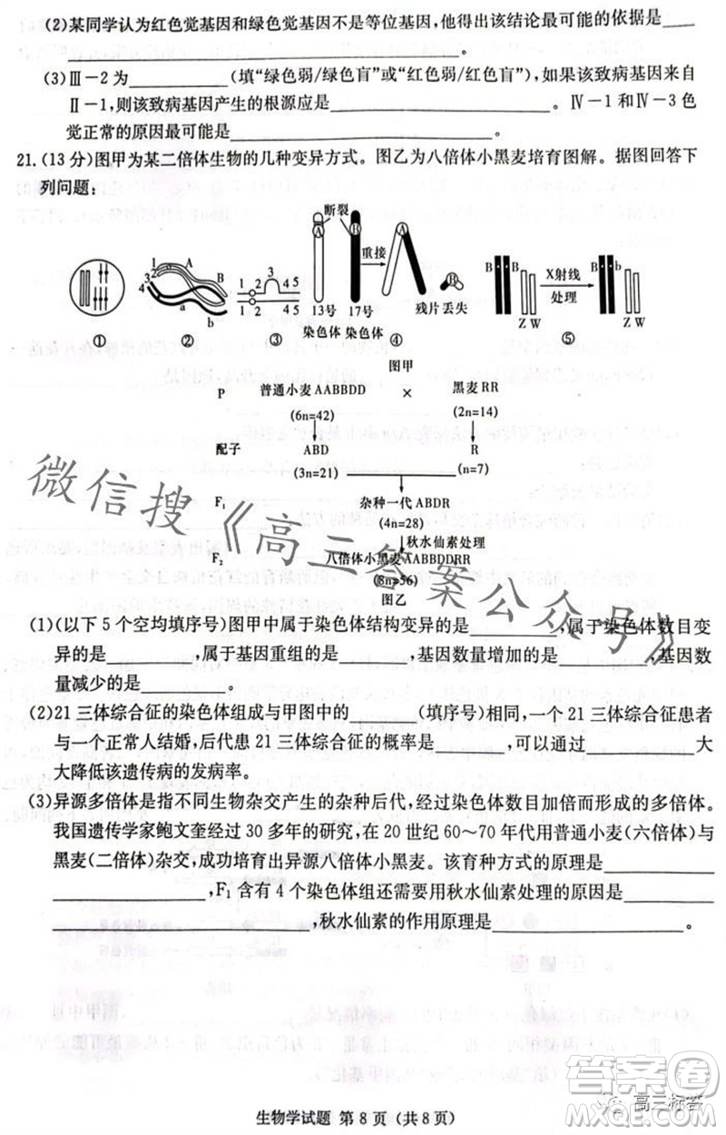 炎德英才名校聯(lián)考聯(lián)合體2024屆高三第三次聯(lián)考生物試卷答案