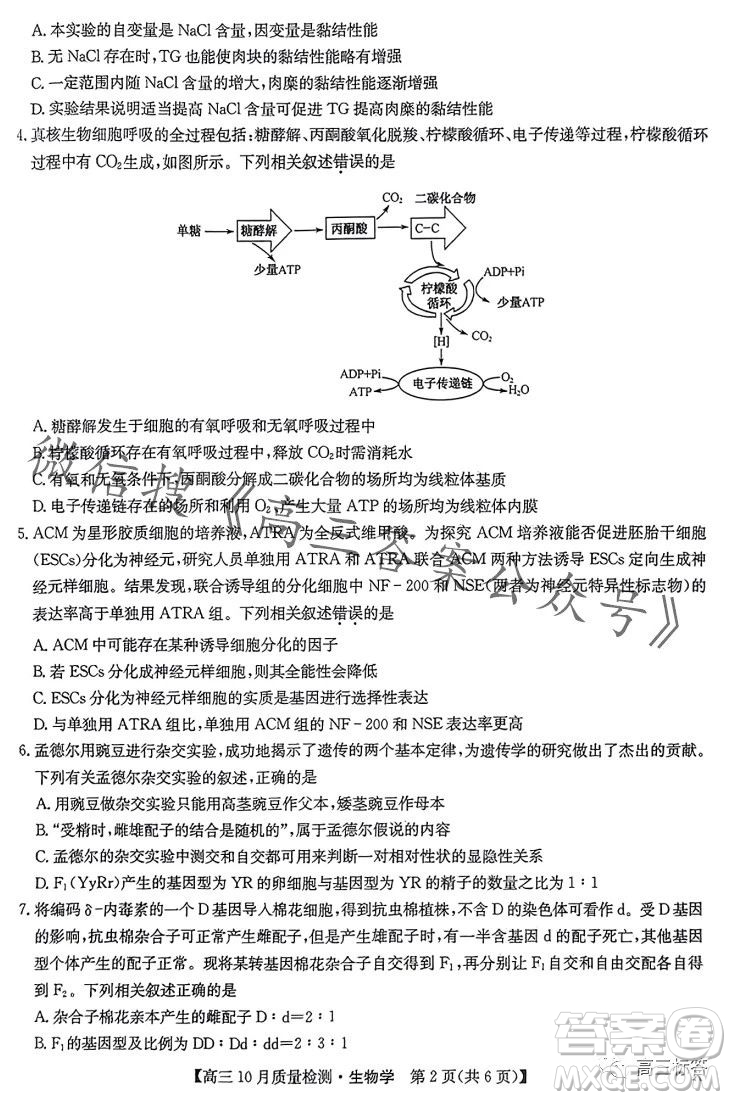 2024屆九師聯(lián)盟高三10月質(zhì)量檢測生物試卷答案