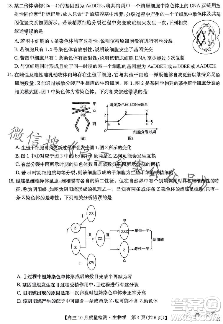 2024屆九師聯(lián)盟高三10月質(zhì)量檢測生物試卷答案