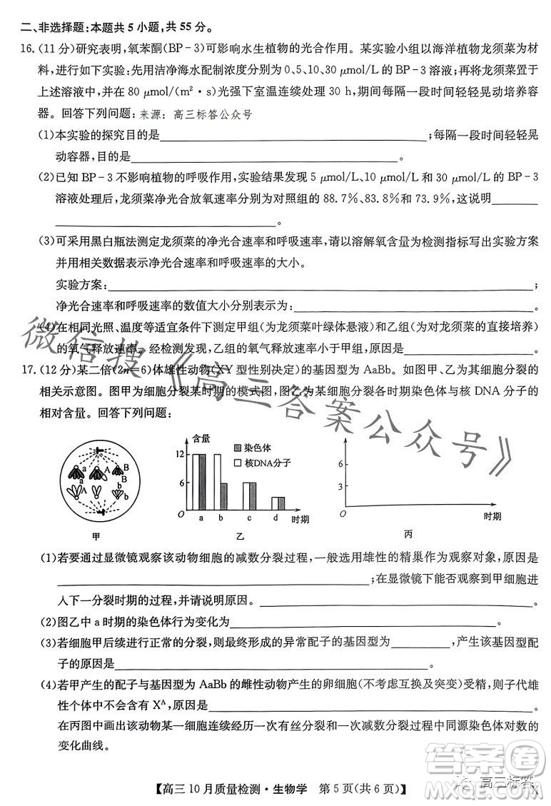 2024屆九師聯(lián)盟高三10月質(zhì)量檢測生物試卷答案