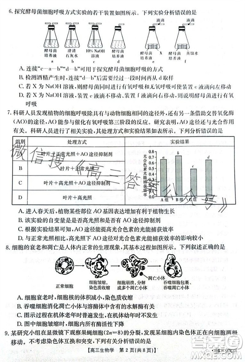 2024屆河南金太陽高三10月26日24-97C聯(lián)考生物試卷答案