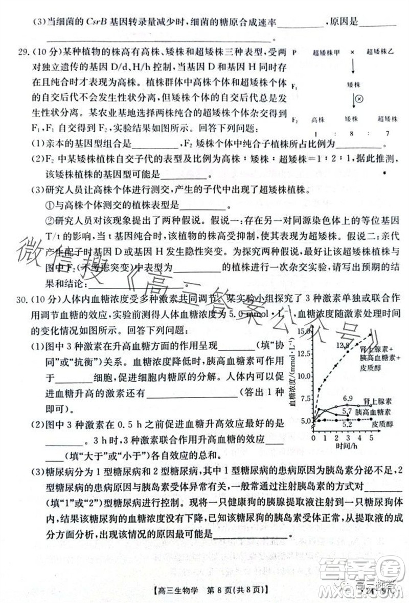 2024屆河南金太陽高三10月26日24-97C聯(lián)考生物試卷答案