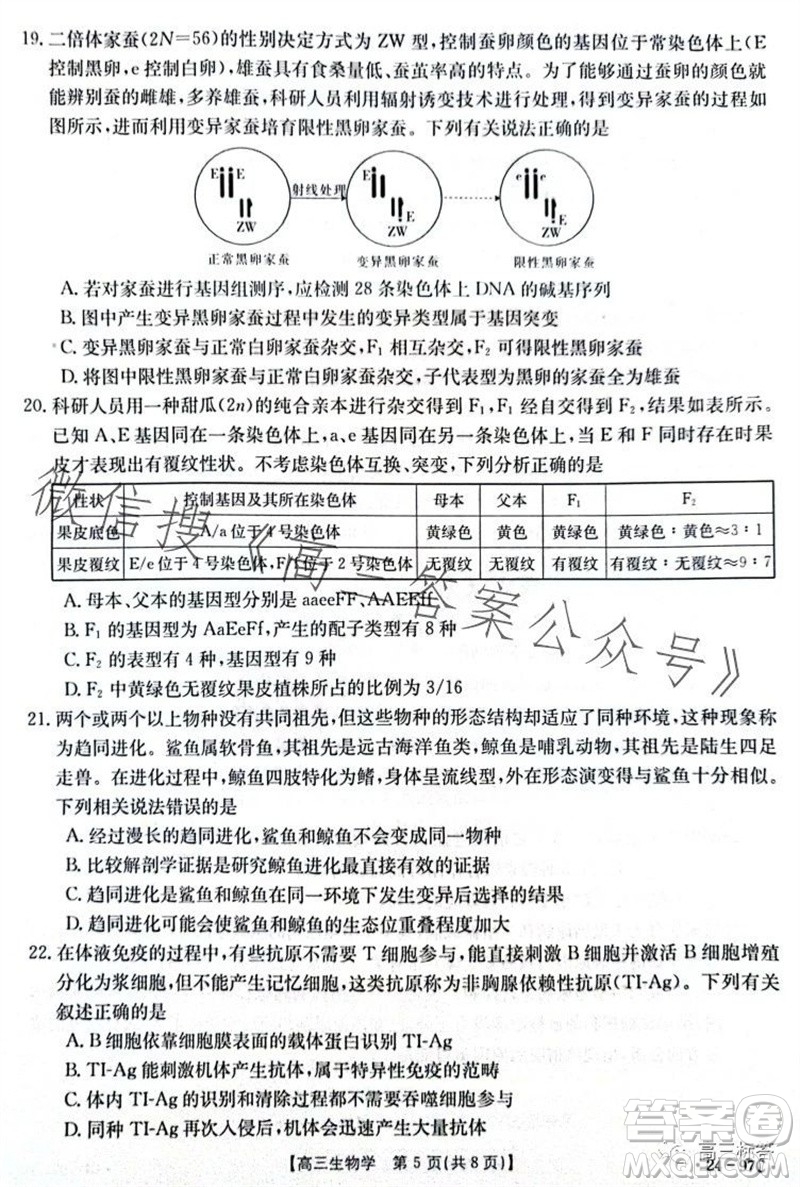 2024屆河南金太陽高三10月26日24-97C聯(lián)考生物試卷答案