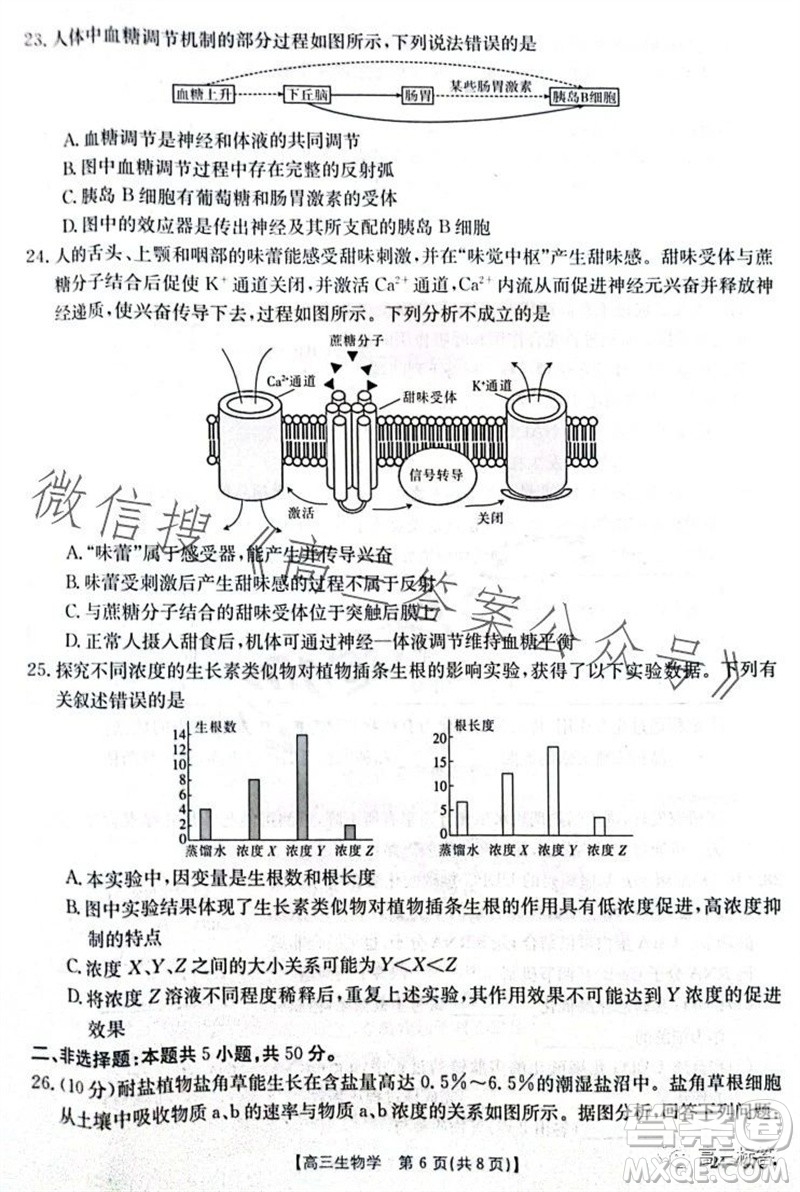 2024屆河南金太陽高三10月26日24-97C聯(lián)考生物試卷答案