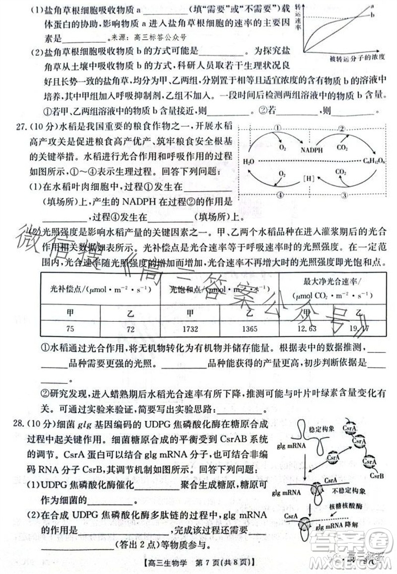 2024屆河南金太陽高三10月26日24-97C聯(lián)考生物試卷答案